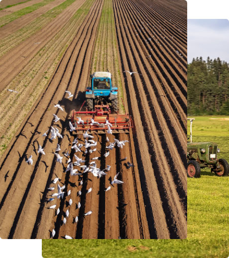 Agriculture