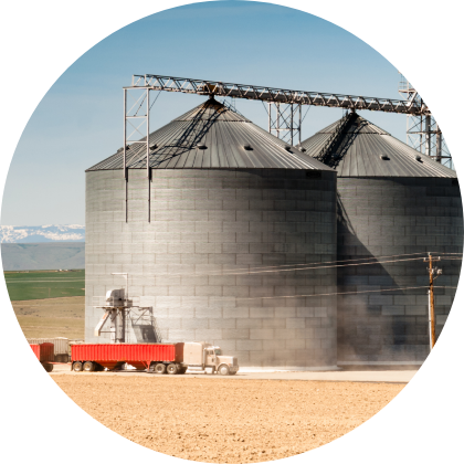 Grain Grain